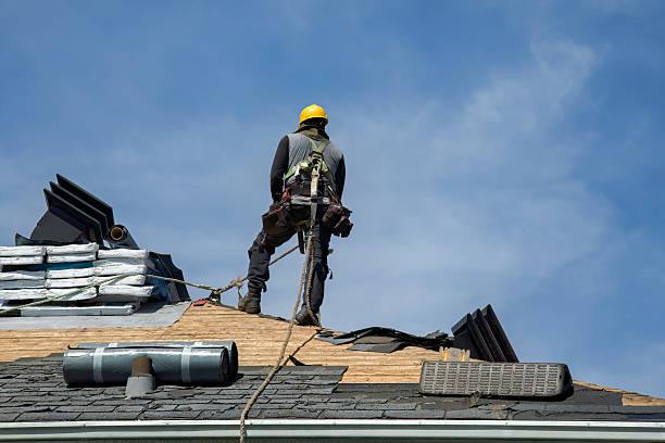 Professional Roof Repair technician working in Lanark, IL
